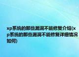 xp系統(tǒng)的那些漏洞不能修復介紹(xp系統(tǒng)的那些漏洞不能修復詳細情況如何)