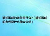 琥珀形成的條件是什么?（琥珀形成的條件是什么簡(jiǎn)介介紹）