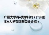 廣州大學(xué)有a類學(xué)科嗎（廣州的本A大學(xué)有哪些簡(jiǎn)介介紹）