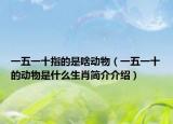 一五一十指的是啥動(dòng)物（一五一十的動(dòng)物是什么生肖簡(jiǎn)介介紹）