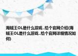 海賊王OL是什么游戲..給個官網(wǎng)介紹(海賊王OL是什么游戲..給個官網(wǎng)詳細(xì)情況如何)
