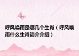 呼風(fēng)喚雨是哪幾個(gè)生肖（呼風(fēng)喚雨什么生肖簡(jiǎn)介介紹）
