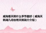 威?？刺禊Z什么季節(jié)最好（威海天鵝湖幾月份有天鵝簡介介紹）