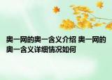 奧一網(wǎng)的奧一含義介紹 奧一網(wǎng)的奧一含義詳細(xì)情況如何