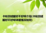 卡帕羽絨服好不好呀介紹(卡帕羽絨服好不好呀詳細(xì)情況如何)