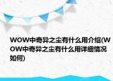 WOW中奇異之塵有什么用介紹(WOW中奇異之塵有什么用詳細(xì)情況如何)