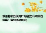 蘇州有哪些模具廠介紹(蘇州有哪些模具廠詳細情況如何)