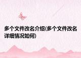 多個(gè)文件改名介紹(多個(gè)文件改名詳細(xì)情況如何)