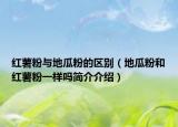 紅薯粉與地瓜粉的區(qū)別（地瓜粉和紅薯粉一樣嗎簡介介紹）