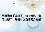 春風(fēng)拂面千山綠下一句（春風(fēng)一拂千山綠下一句是什么古詩簡(jiǎn)介介紹）