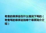 老舍的草原是在什么情況下寫的（老舍寫的草原是指哪個(gè)草原簡(jiǎn)介介紹）