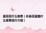藍(lán)花花什么意思（長(zhǎng)春花藍(lán)是什么意思簡(jiǎn)介介紹）