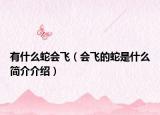 有什么蛇會(huì)飛（會(huì)飛的蛇是什么簡介介紹）