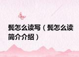 鬢怎么讀寫（鬢怎么讀簡(jiǎn)介介紹）