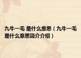 九牛一毛 是什么意思（九牛一毛是什么意思簡介介紹）
