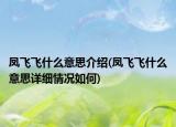 鳳飛飛什么意思介紹(鳳飛飛什么意思詳細情況如何)