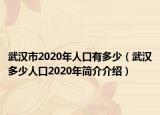 武漢市2020年人口有多少（武漢多少人口2020年簡(jiǎn)介介紹）