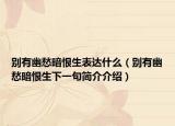 別有幽愁暗恨生表達(dá)什么（別有幽愁暗恨生下一句簡(jiǎn)介介紹）