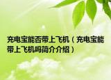 充電寶能否帶上飛機(jī)（充電寶能帶上飛機(jī)嗎簡(jiǎn)介介紹）
