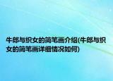 牛郎與織女的簡筆畫介紹(牛郎與織女的簡筆畫詳細(xì)情況如何)