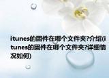 itunes的固件在哪個文件夾?介紹(itunes的固件在哪個文件夾?詳細(xì)情況如何)