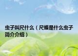 蟲子叫尺什么（尺蠖是什么蟲子簡(jiǎn)介介紹）