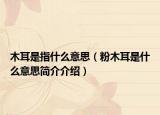 木耳是指什么意思（粉木耳是什么意思簡(jiǎn)介介紹）