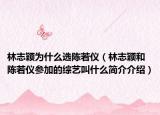 林志穎為什么選陳若儀（林志穎和陳若儀參加的綜藝叫什么簡(jiǎn)介介紹）