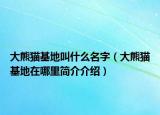 大熊貓基地叫什么名字（大熊貓基地在哪里簡介介紹）