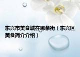 東興市美食城在哪條街（東興區(qū)美食簡介介紹）