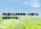 雙標(biāo)是什么意思舉例（sb是什么意思簡介介紹）