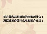 劉亦菲和馮紹峰演的電影叫什么（馮紹峰劉亦菲什么電影簡介介紹）