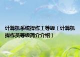 計(jì)算機(jī)系統(tǒng)操作工等級(jí)（計(jì)算機(jī)操作員等級(jí)簡(jiǎn)介介紹）