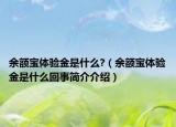余額寶體驗金是什么?（余額寶體驗金是什么回事簡介介紹）