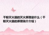 干粉滅火器的滅火原理是什么（干粉滅火器的原理簡介介紹）