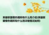 英雄聯(lián)盟橙色精粹有什么用介紹(英雄聯(lián)盟橙色精粹有什么用詳細(xì)情況如何)