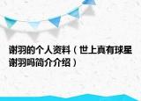 謝羽的個(gè)人資料（世上真有球星謝羽嗎簡(jiǎn)介介紹）
