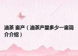 油茶 畝產(chǎn)（油茶產(chǎn)量多少一畝簡(jiǎn)介介紹）