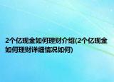 2個億現(xiàn)金如何理財介紹(2個億現(xiàn)金如何理財詳細(xì)情況如何)