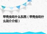 甲殼蟲(chóng)吃什么東西（甲殼蟲(chóng)吃什么簡(jiǎn)介介紹）
