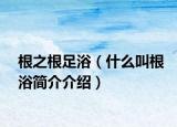 根之根足?。ㄊ裁唇懈『?jiǎn)介介紹）