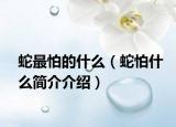 蛇最怕的什么（蛇怕什么簡(jiǎn)介介紹）