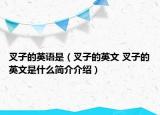 叉子的英語(yǔ)是（叉子的英文 叉子的英文是什么簡(jiǎn)介介紹）