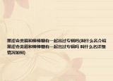 黑澀會美眉和棒棒糖有一起出過專輯嗎(叫什么名介紹 黑澀會美眉和棒棒糖有一起出過專輯嗎 叫什么名詳細情況如何)