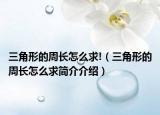 三角形的周長怎么求!（三角形的周長怎么求簡介介紹）