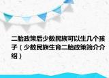 二胎政策后少數(shù)民族可以生幾個(gè)孩子（少數(shù)民族生育二胎政策簡介介紹）