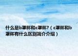 什么是b罩杯和c罩杯?（c罩杯和b罩杯有什么區(qū)別簡介介紹）