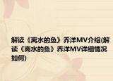 解讀《離水的魚》喬洋MV介紹(解讀《離水的魚》喬洋MV詳細(xì)情況如何)