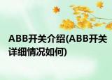 ABB開關介紹(ABB開關詳細情況如何)