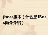 jboss版本（什么是JBoss簡介介紹）